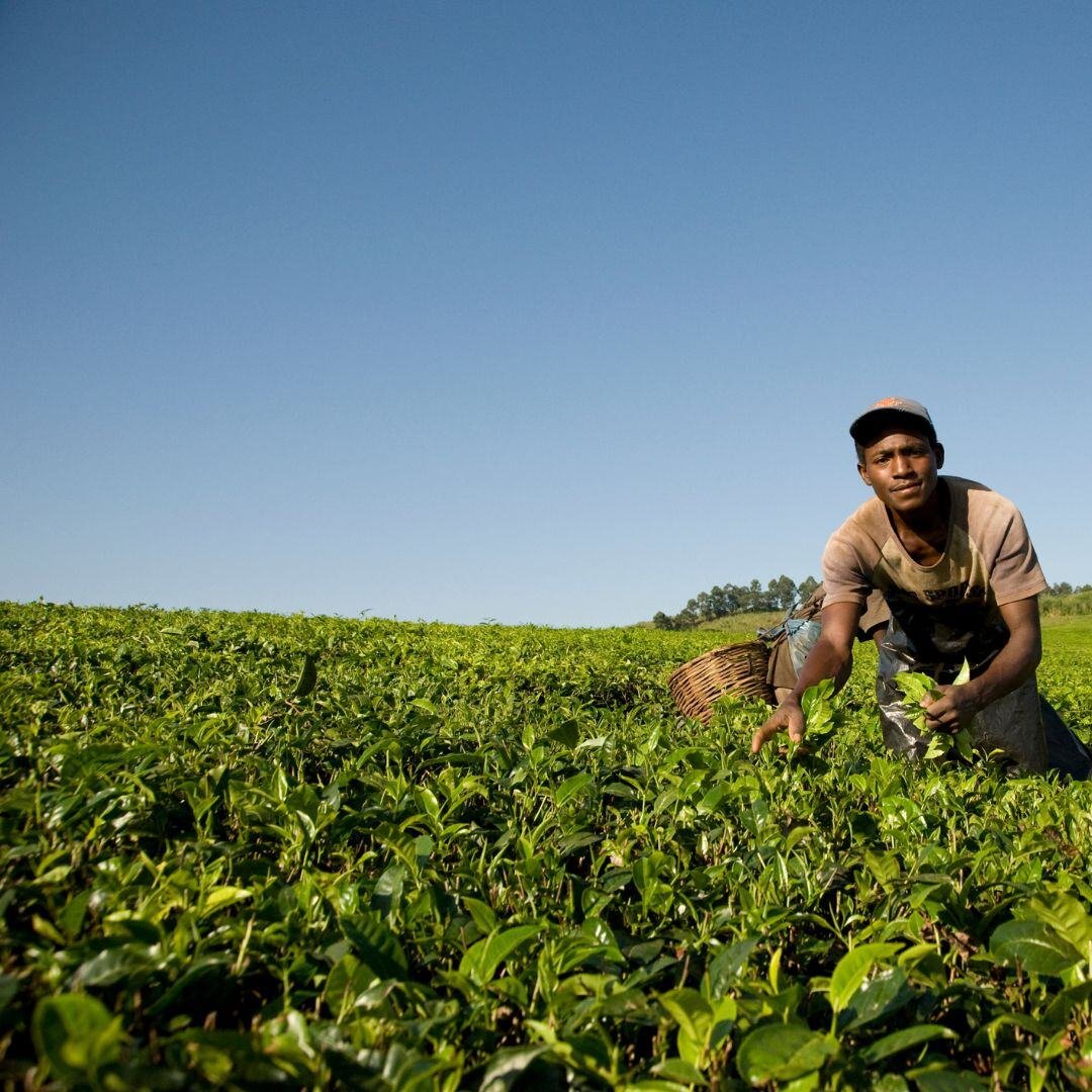 1-Feb-18-2025-08-24-57-1547-AM