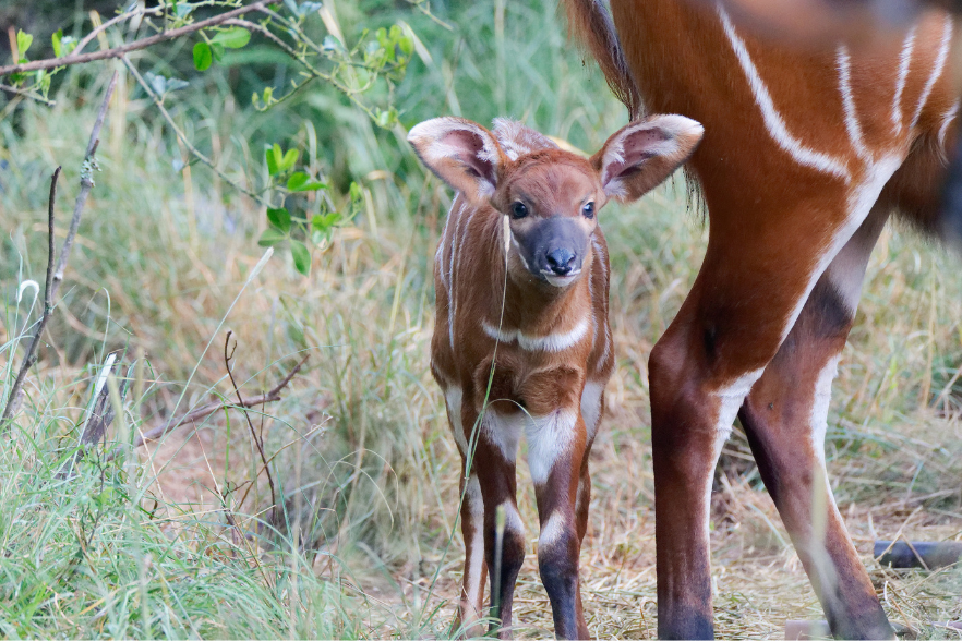 2-Apr-03-2025-09-01-53-3017-AM