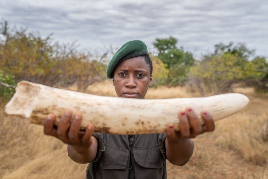 2-Mar-05-2025-05-15-53-2132-PM