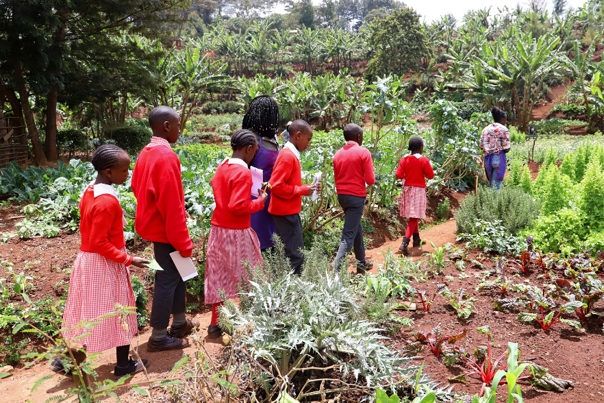 2-Mar-27-2025-06-38-54-8179-AM