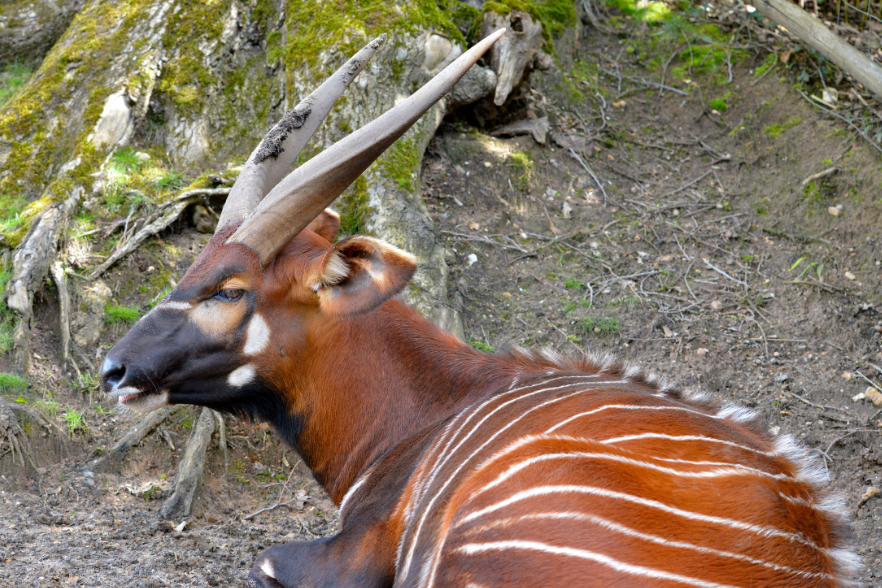 3-Apr-03-2025-09-01-53-4938-AM