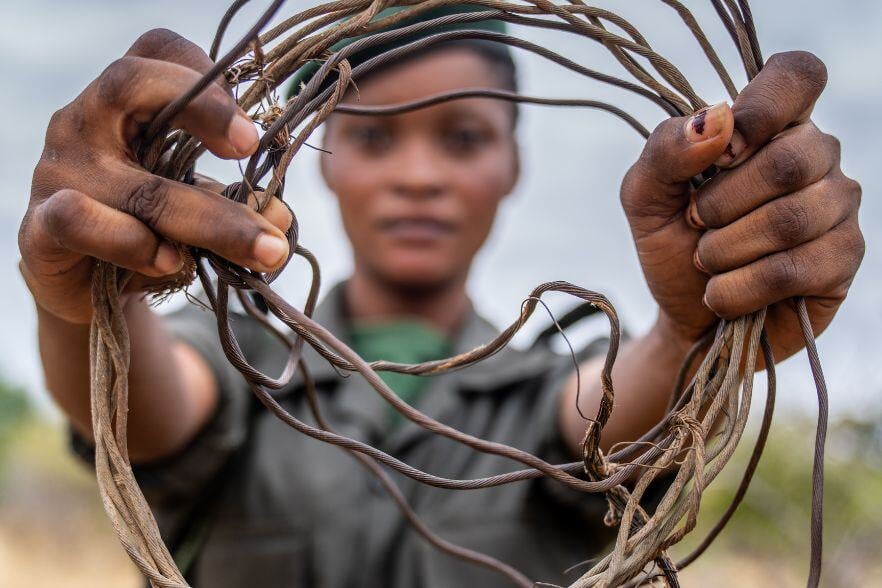 3-Mar-05-2025-05-15-53-2916-PM