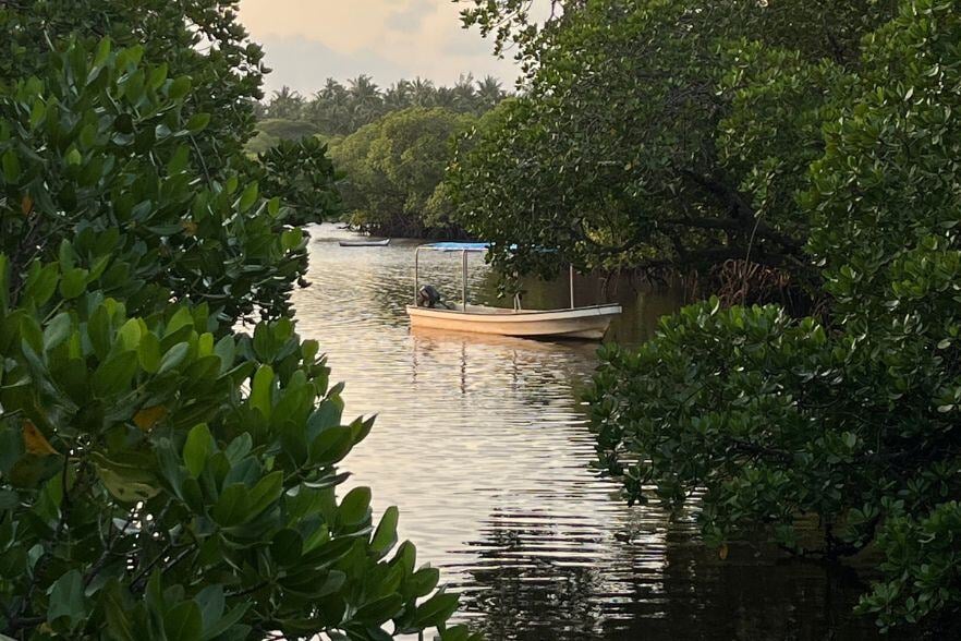 3-Mar-19-2025-01-51-48-3457-PM