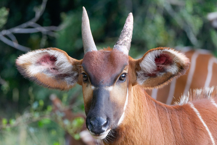 4-Apr-03-2025-09-01-53-1165-AM