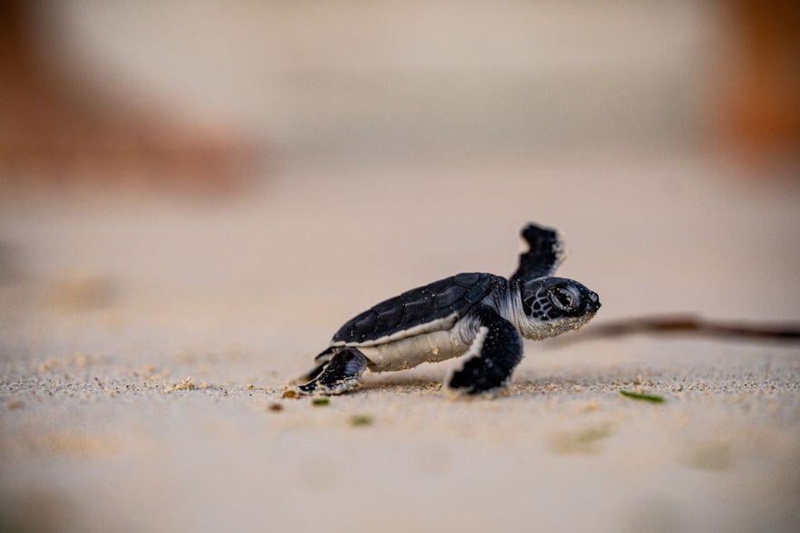 4-Mar-19-2025-01-51-48-1673-PM