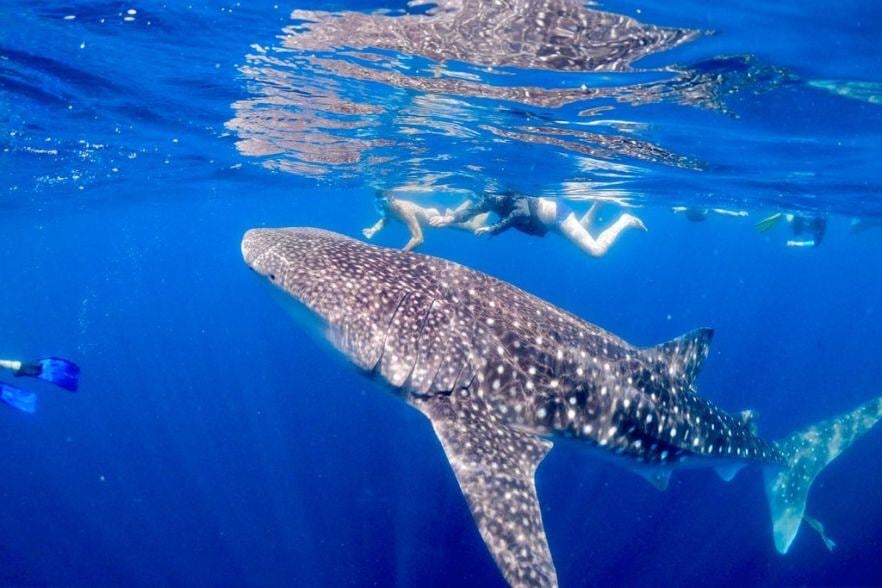 6-Mar-19-2025-01-51-48-2642-PM