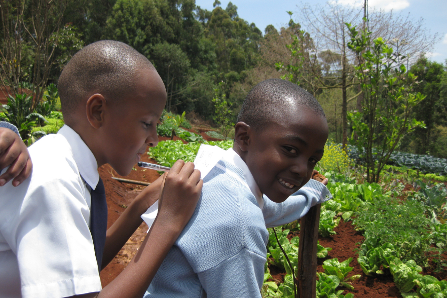 8-Mar-27-2025-06-38-50-9761-AM