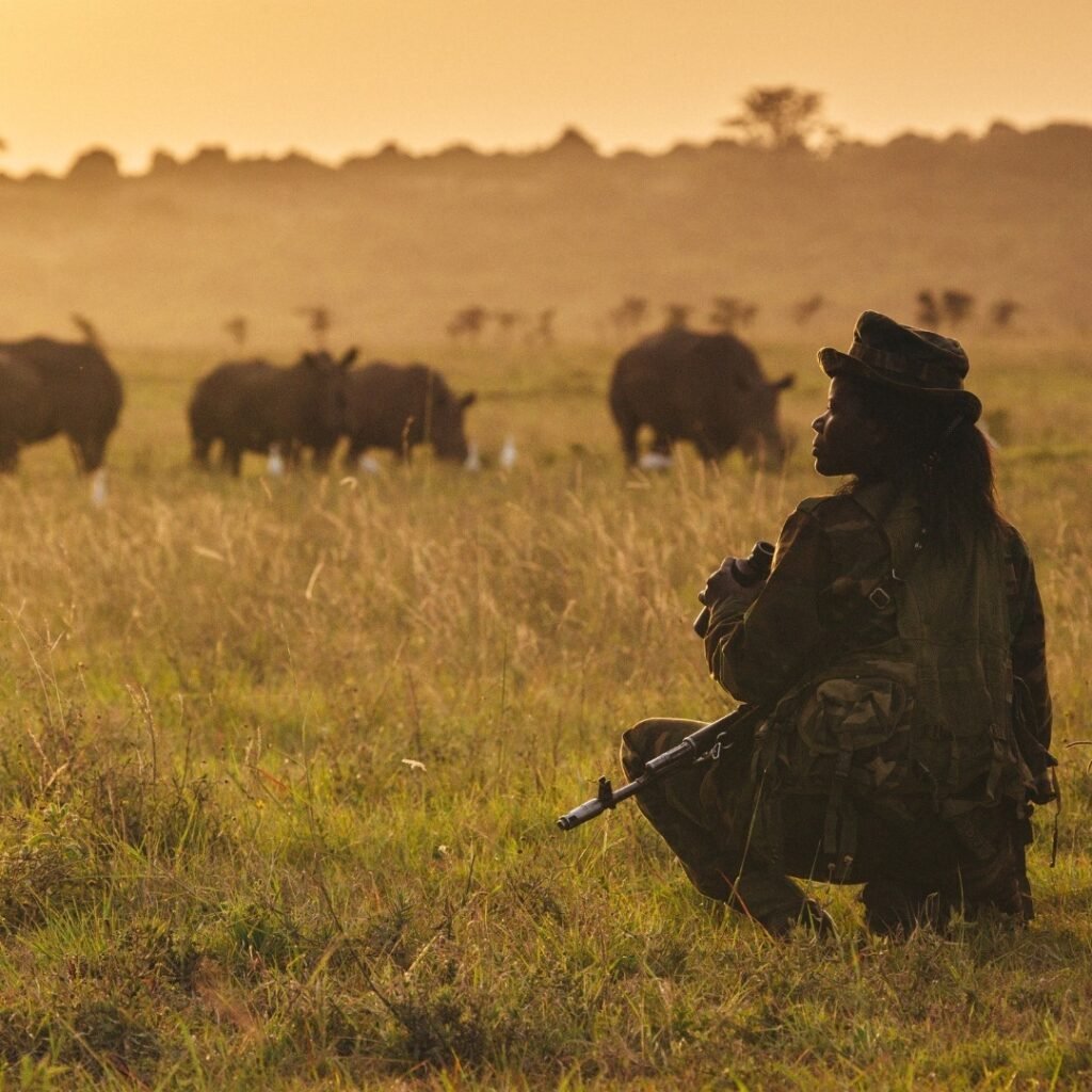 World Rangers Day 2022: Get to Know Your Rangers