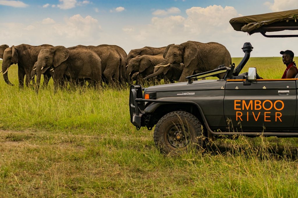 Discover top eco-friendly properties of 2019 with Nomad Africa. Explore sustainable accommodations, green travel, and environmental initiatives.