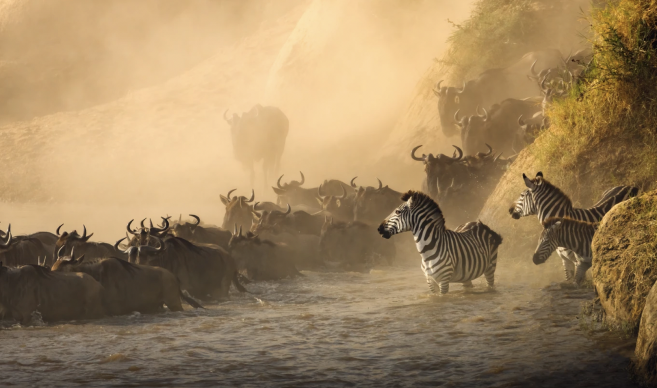 5 Interesting Facts About The Great Migration