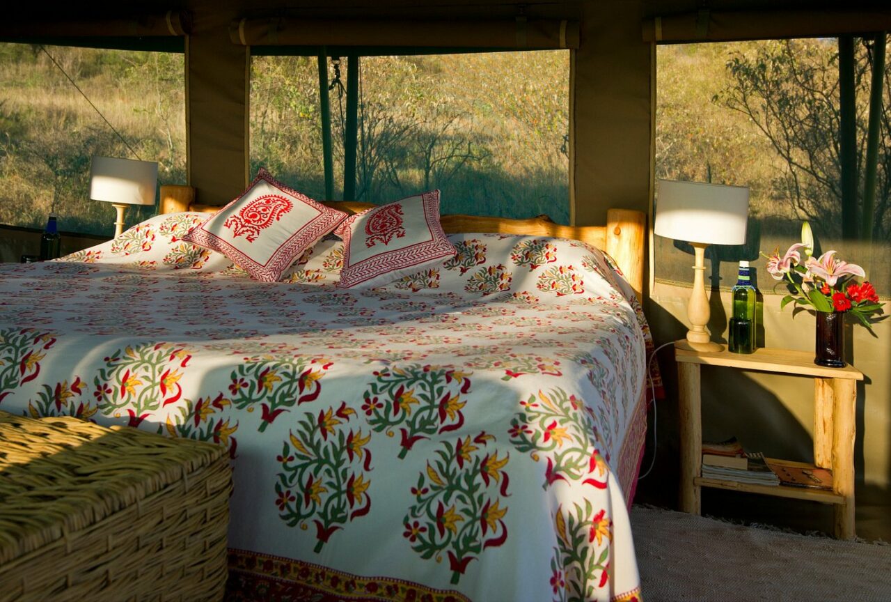 game drives and walking safaris