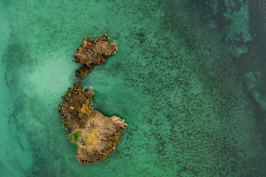 7 Ways We Can All Help: World Oceans Day 2023